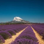 Parc naturel régional du Mont Ventoux : guide complet pour découvrir le Géant de Provence