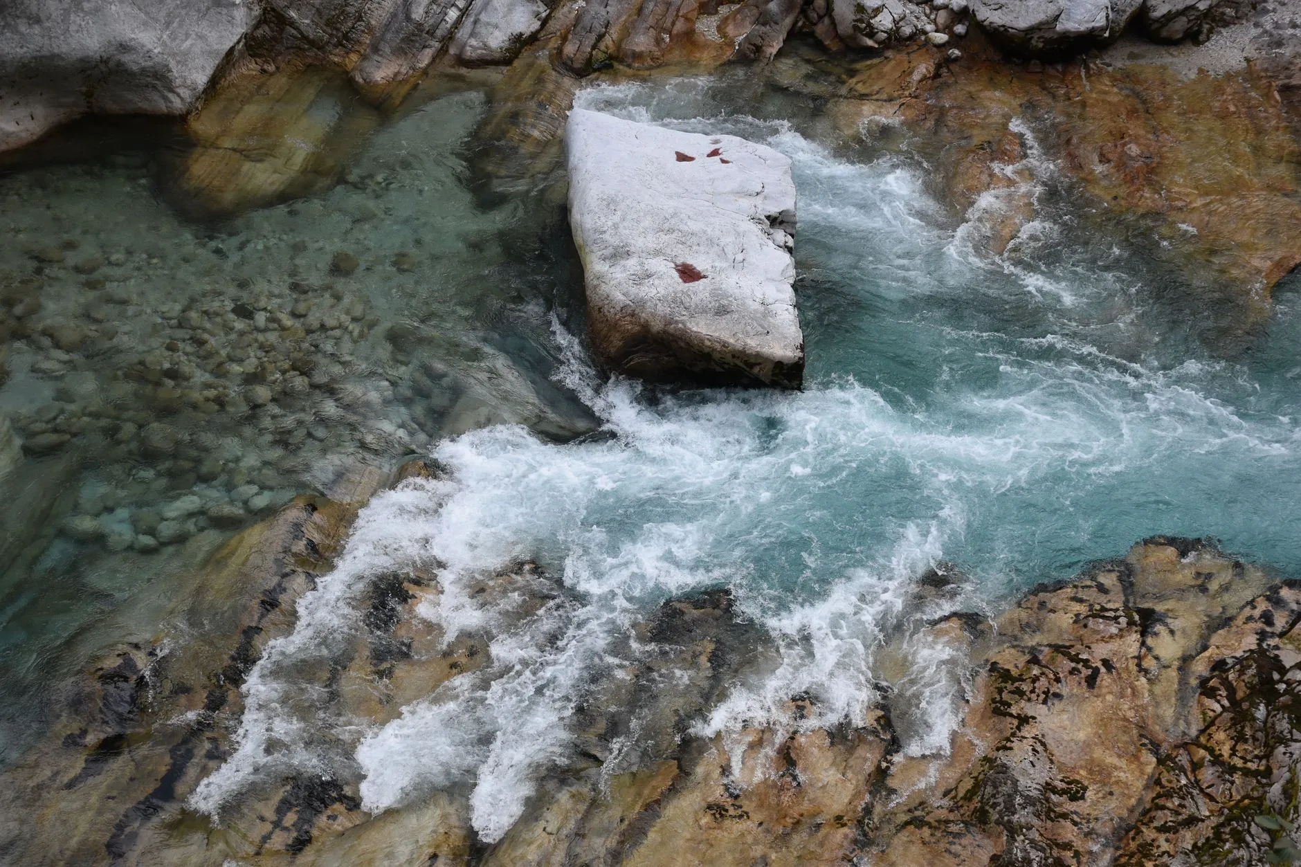 Rivière de première catégorie dans une vallée volcanique du Cantal, habitat naturel de la truite fario