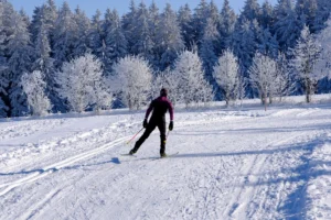 Piste de ski de fond tracée sur un plateau enneigé du massif cantalien