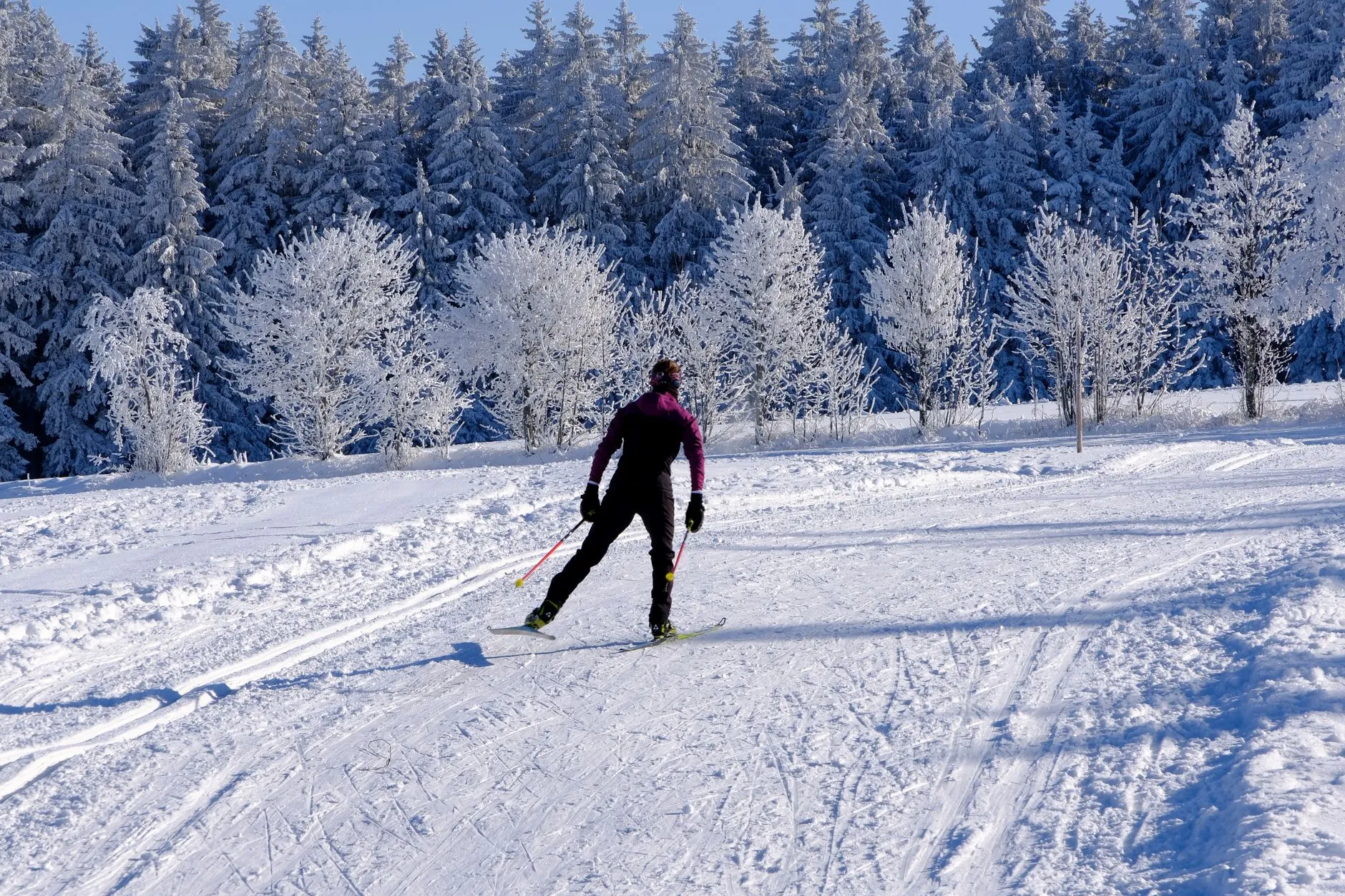 Piste de ski de fond tracée sur un plateau enneigé du massif cantalien